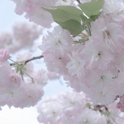 Furry插画色彩灵感兽圈社群